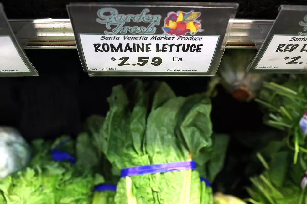 Romaine Lettuce Recall