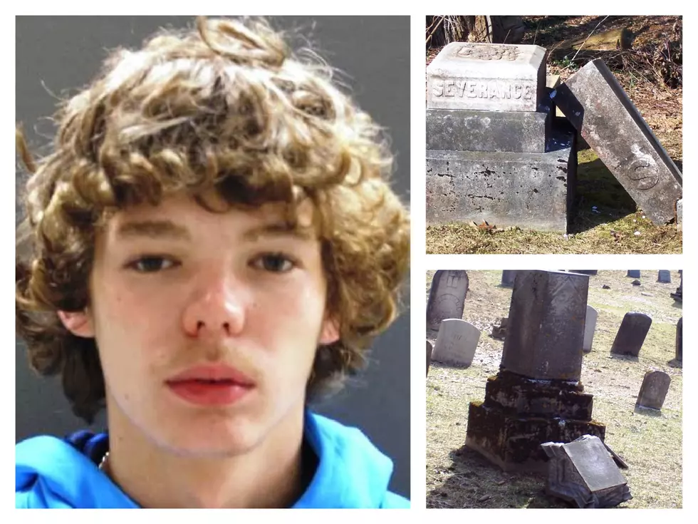 State Police Looking for Cemetery Vandalism Suspect