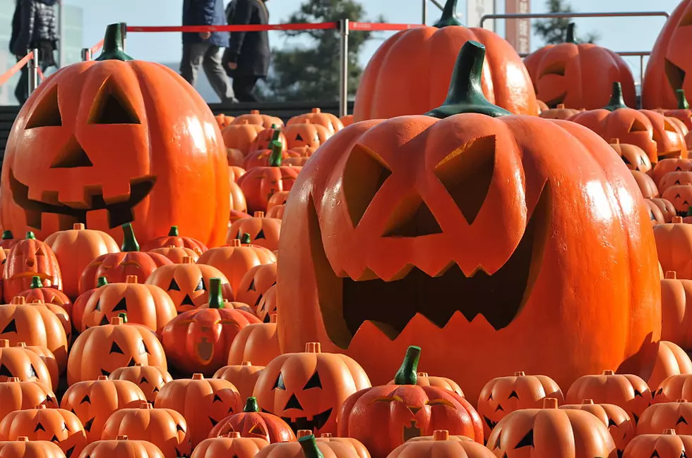 4 Fall Festivals & Halloween Events In CNY