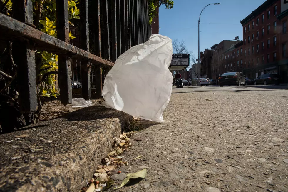 Should CNY Counties Ban Plastic Bags?