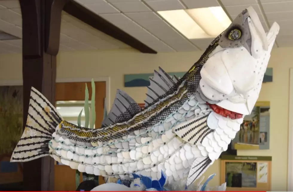 Plastic Refuse from New York Waterways Turned into Bass Sculpture