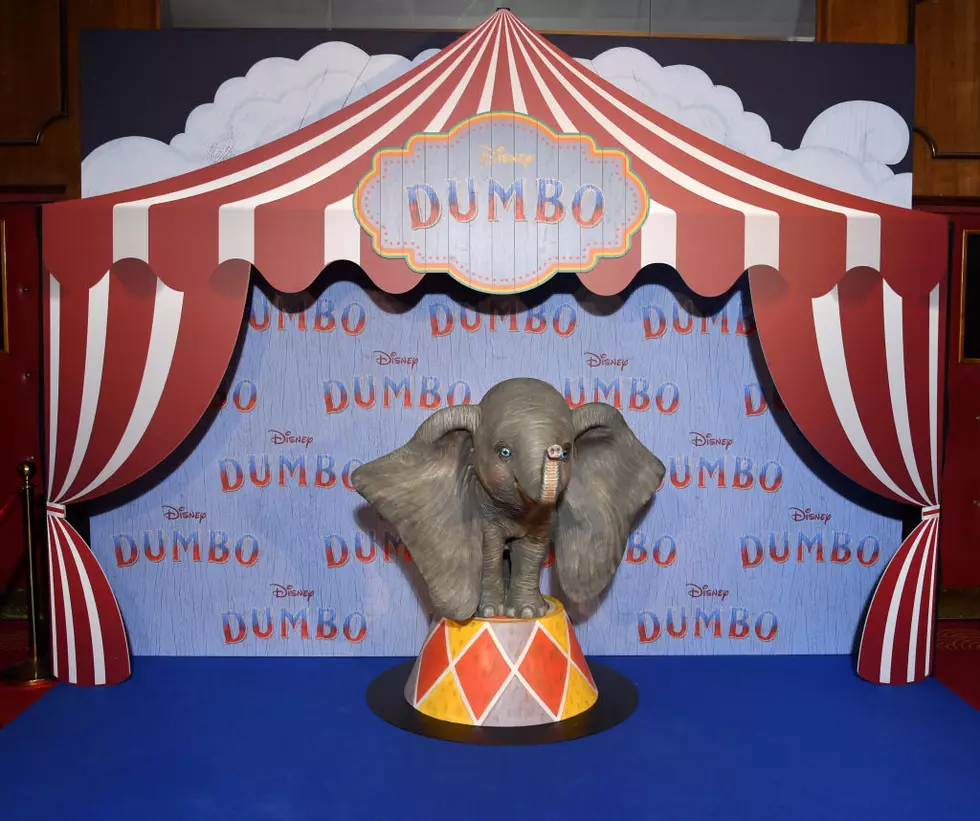 Dumbo Took Flight in Syracuse