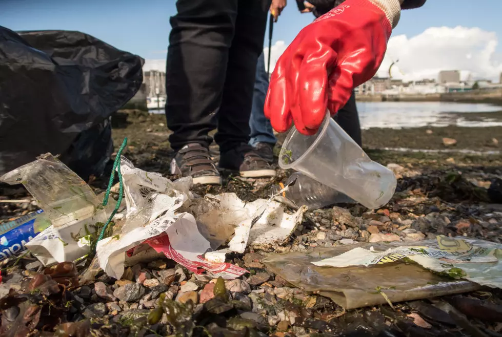 Join The Viral Trash Tag Challenge to Help Clean up Central New York