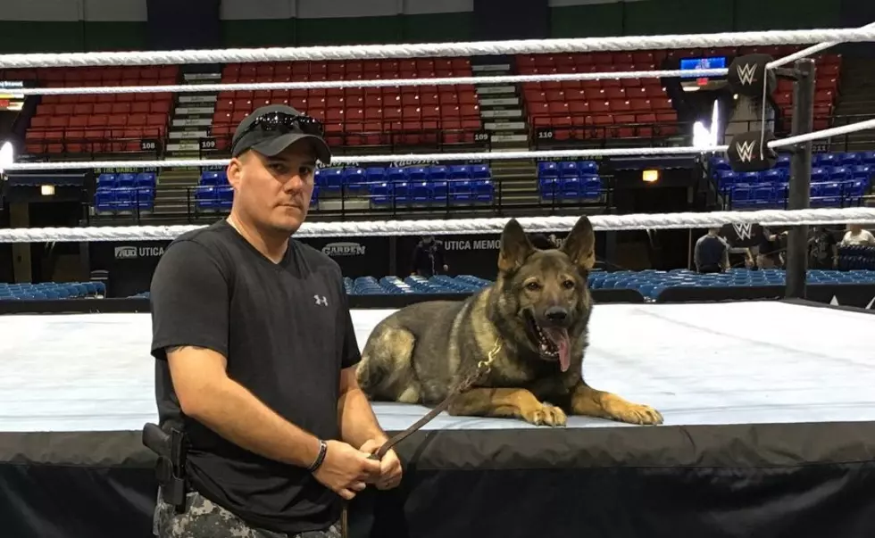 Retired Utica Police Dog Dies at 11