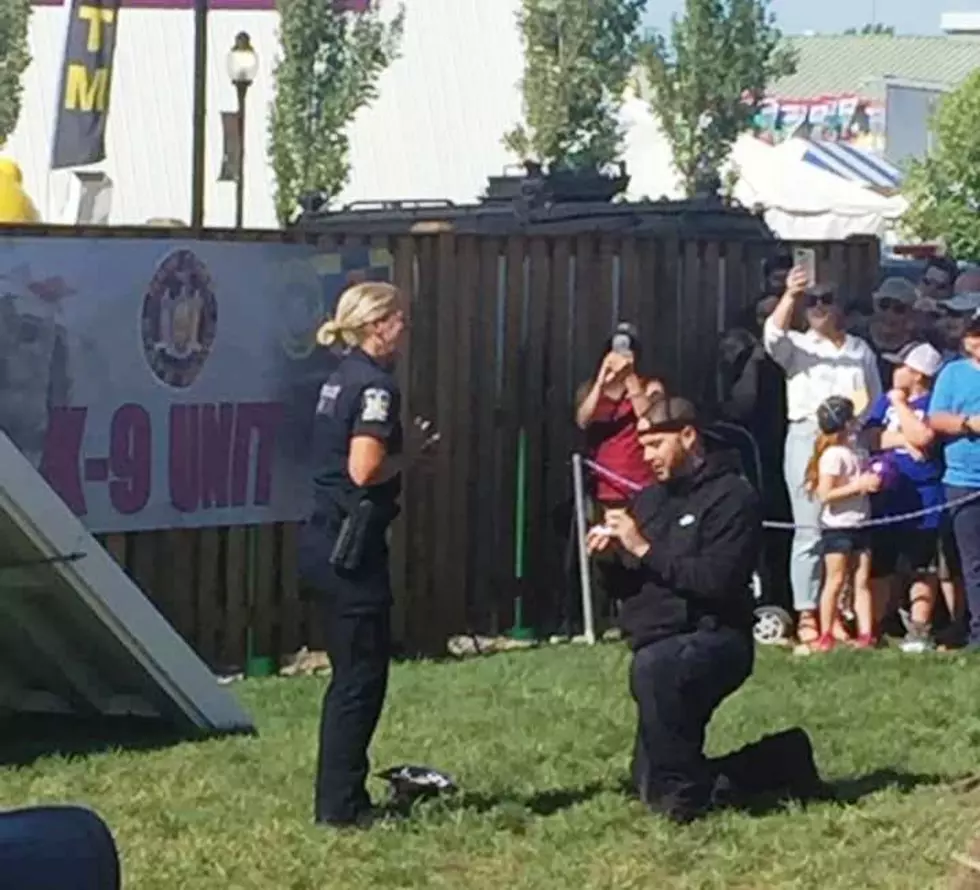 K9 Demonstration Turns Into Wedding Proposal at NY State Fair