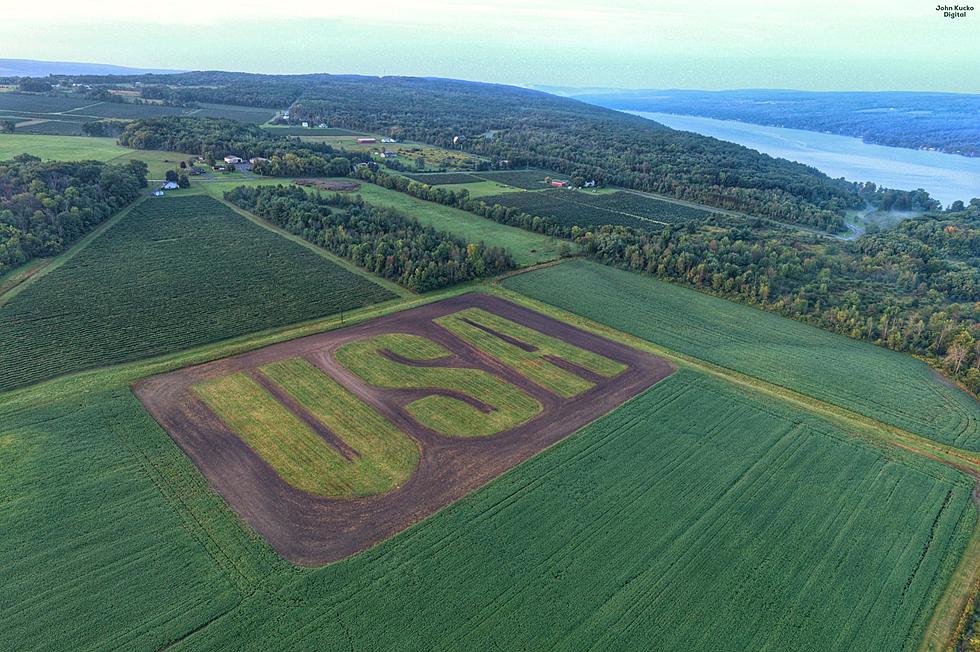 USA Cut Days After 9/11 Grows in NY Field 20 Years Later