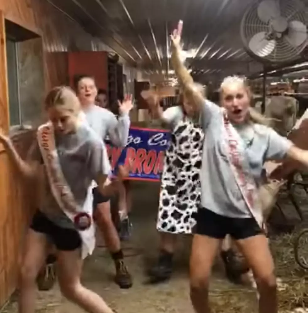 New York 4-H Girls "The Git Up" and Drink Milk Video Goes Viral