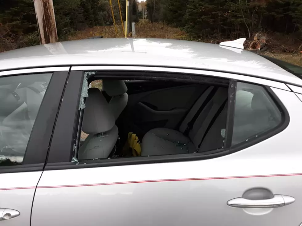 Deer Jumps Through Car in the Adirondacks