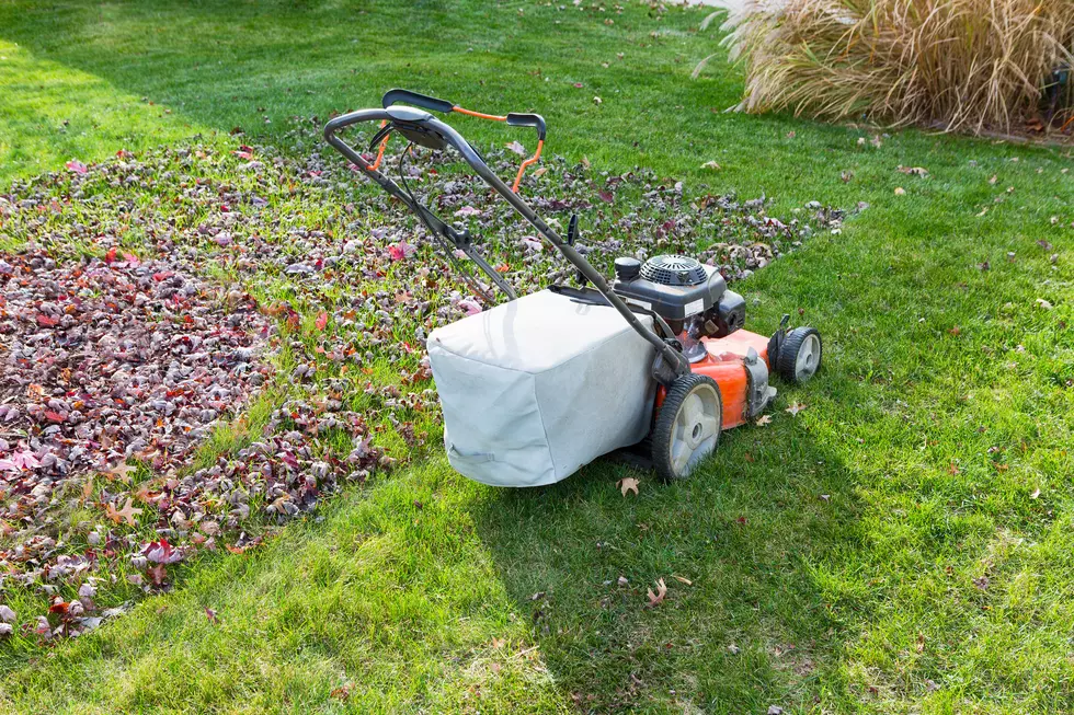 How to Prepare Your Mower and Lawn Tools for Winter
