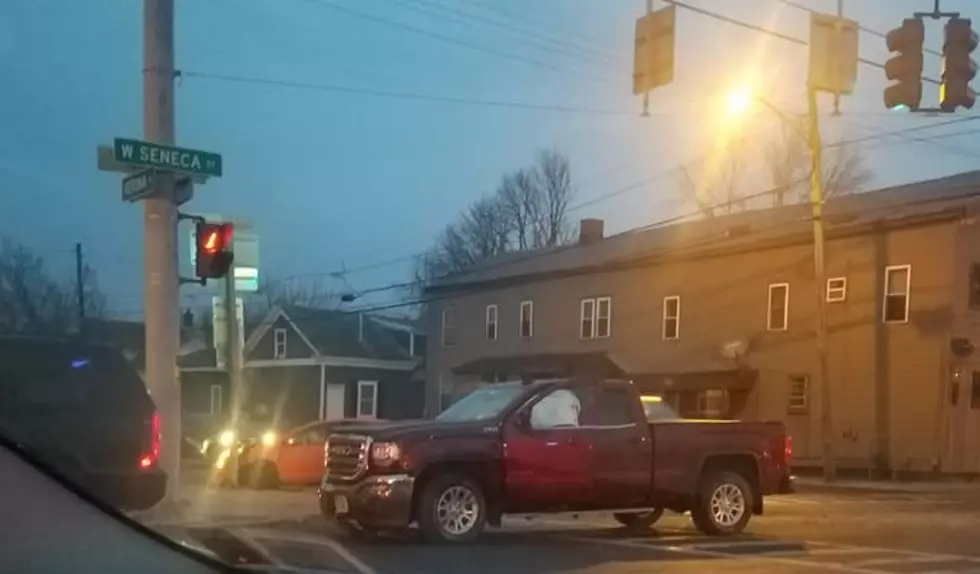 Only in Central New York - Goat Causes Crash