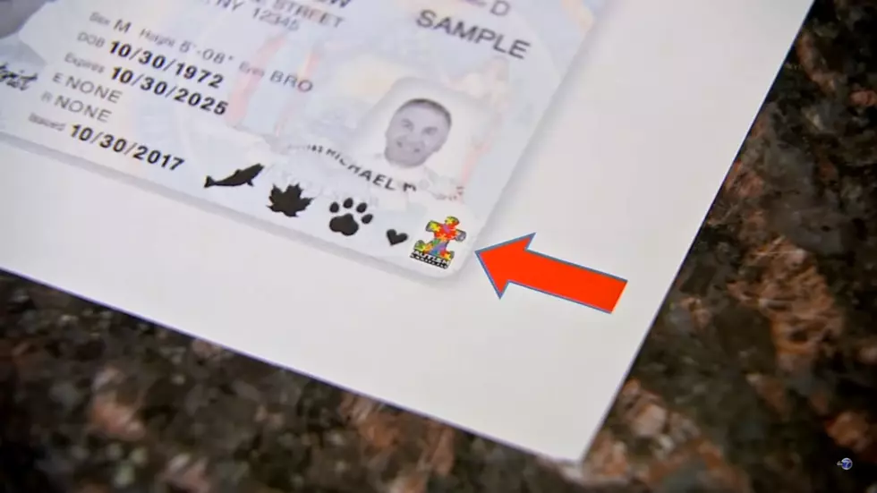 Should an Autism Symbol Be Added to NYS Driver's Licenses?