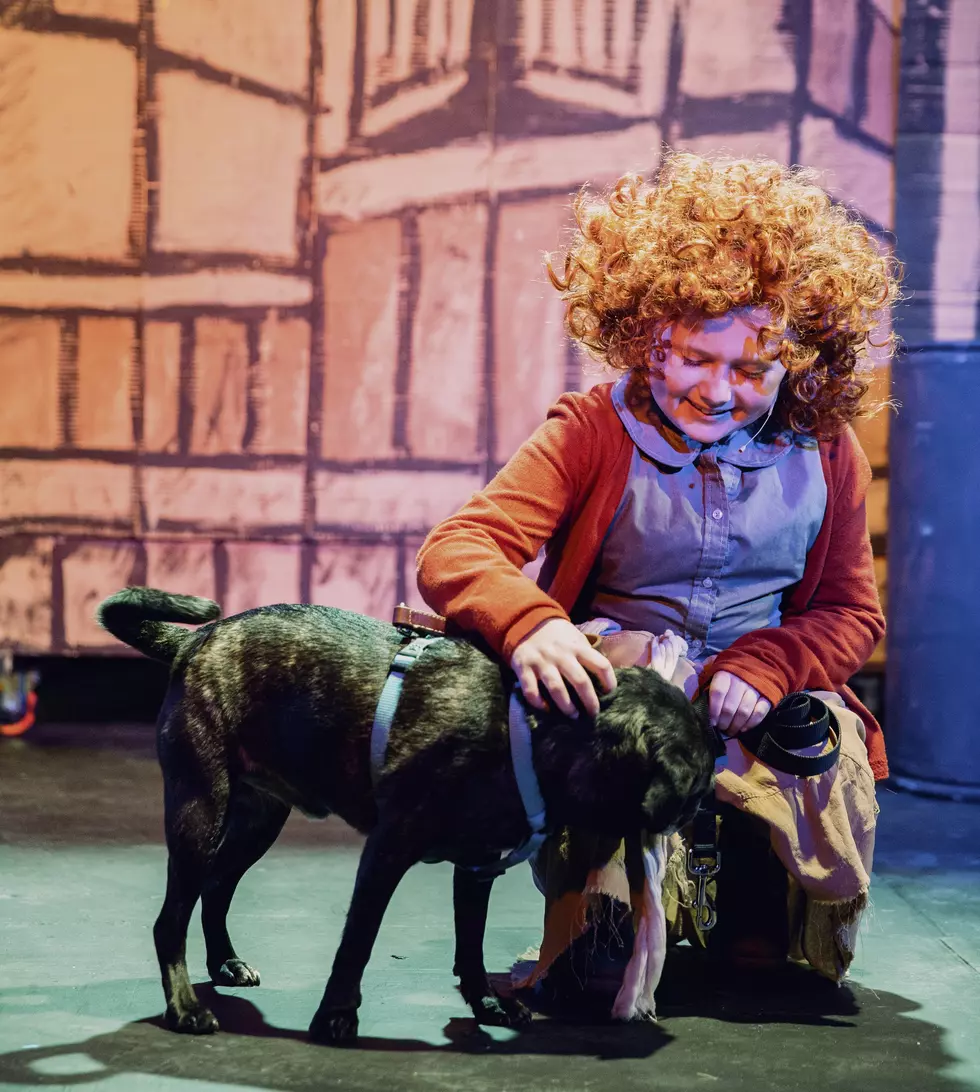 Verona Sixth Grader Starring as Annie in CNY Production