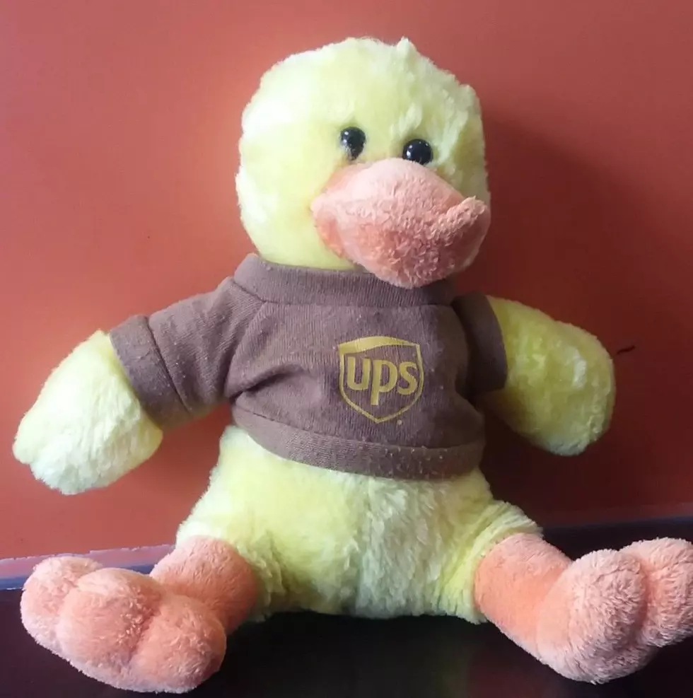 Help Deliver Lost UPS Duck to It’s Family