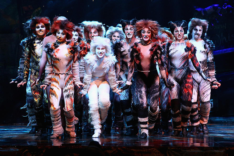 Recall a 'Memory' From the Old Days to See CATS