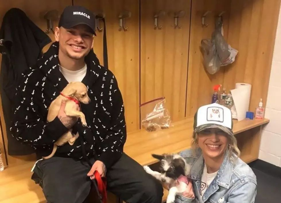 Kane Brown Snuggled with Rescue Pups Before His Buffalo Show