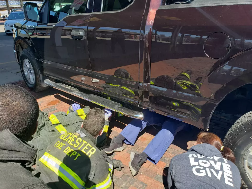 Dog Rescued After 40 Mile Drive Trapped Under Owner’s Vehicle