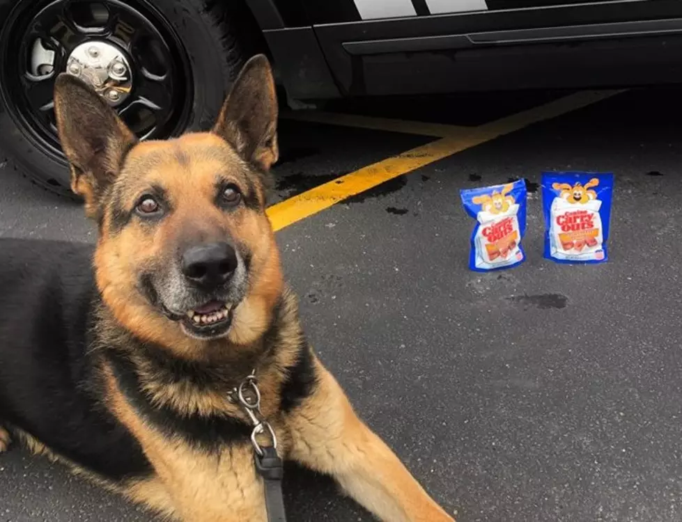 Spreading Kindness: Anonymous Man Buys Treats for Central New York K9