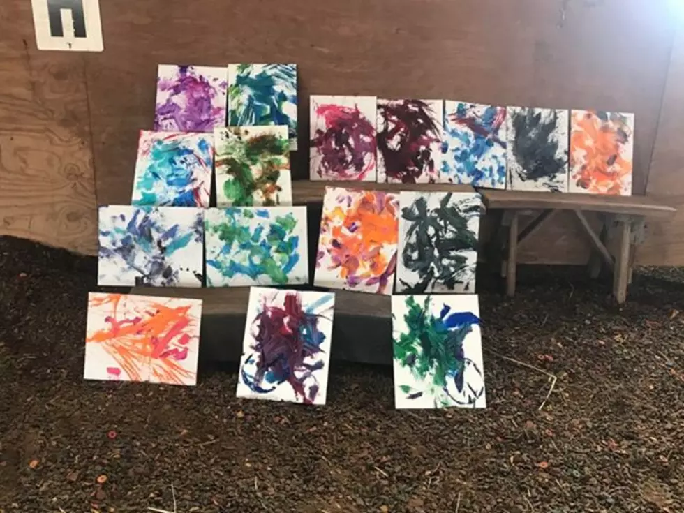 Horses Paint Pictures For Mothers Day at Rome Equestrian Center