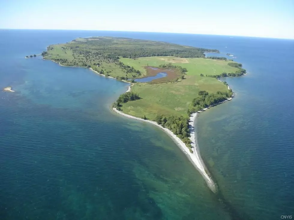Own a Private Island in Lake Ontario