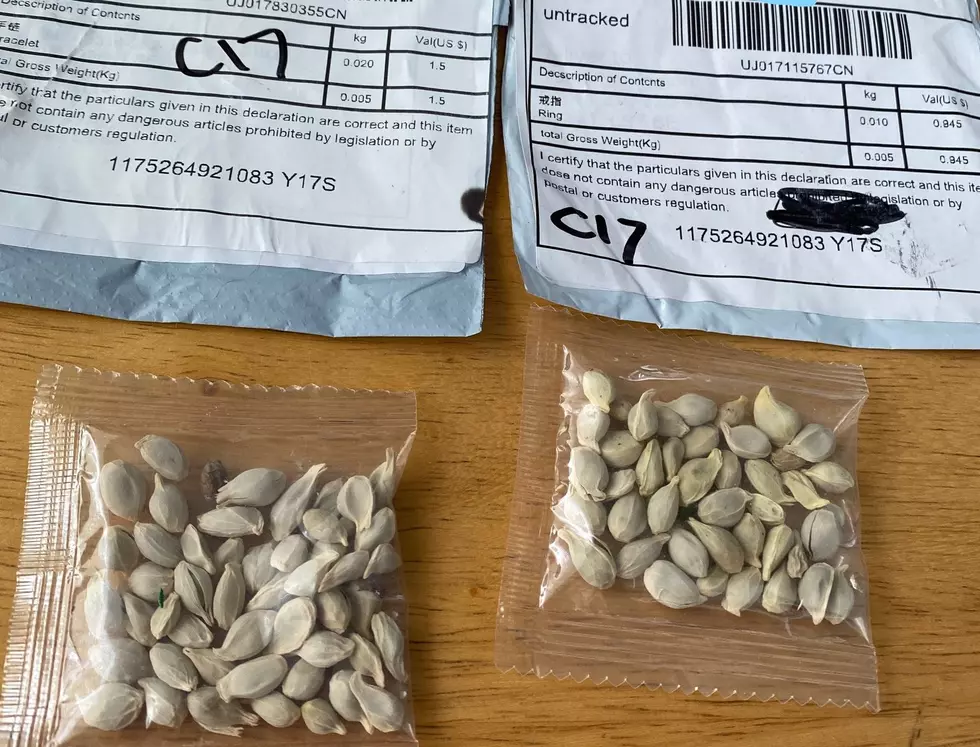 Mysterious Seeds Being Sent to Several States From China