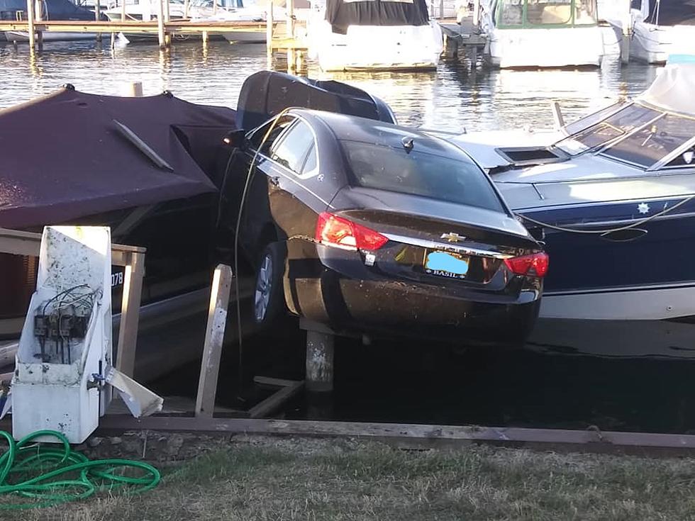 Spider Blamed For Car Crashing into Boats at New York Yacht Club