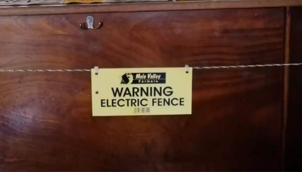 Did A Bar Really Install An Electric Fence For Social Distancing?- This Is Shocking