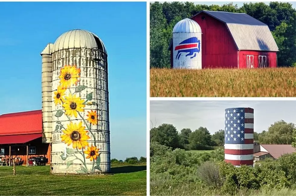 Stunning New York Silos With A Story