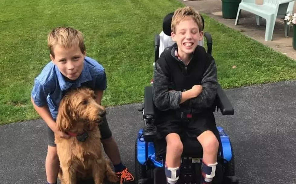Rome Boy With Cerebral Palsy Lost Without Family Dog – Help Find Her
