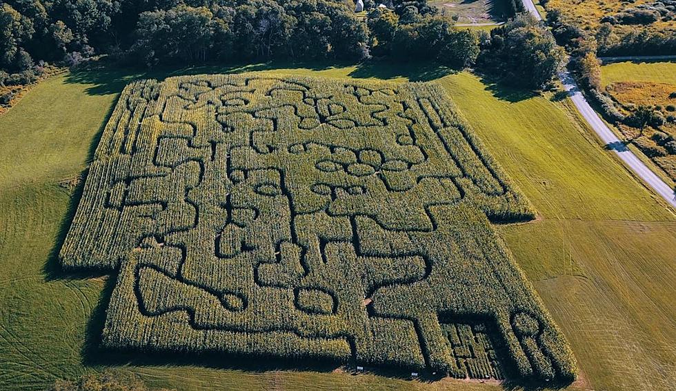 Fly Creek Valley Corn Maze And Pumpkin Patch Ready For 2020