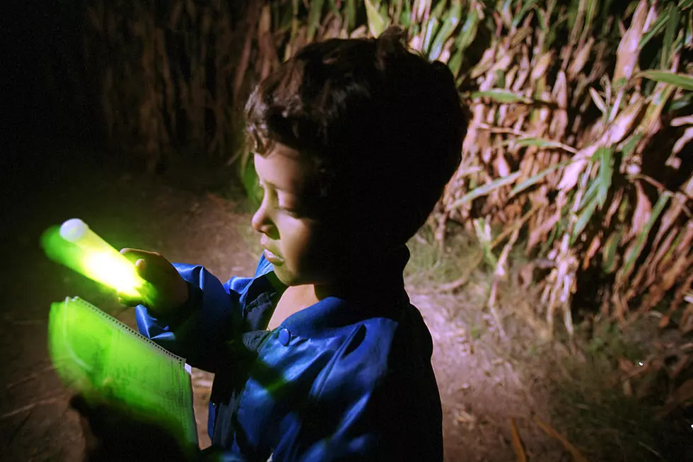 Teel Farm Hosting Corn Maze Flashlight Nights This Fall