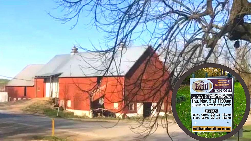Stranger Trying to Take Farm From CNY Family Over Political Views