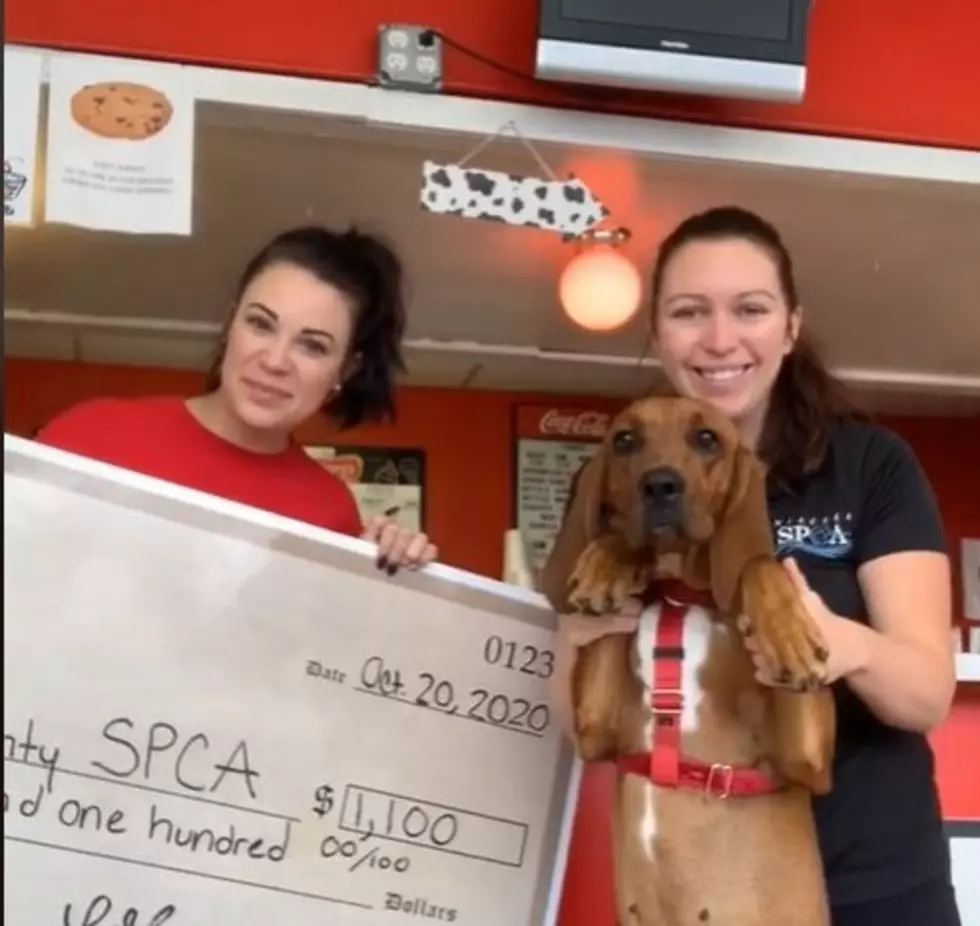 New York Ice Cream Shop’s Pup Cups Raised Over $1K For Shelter