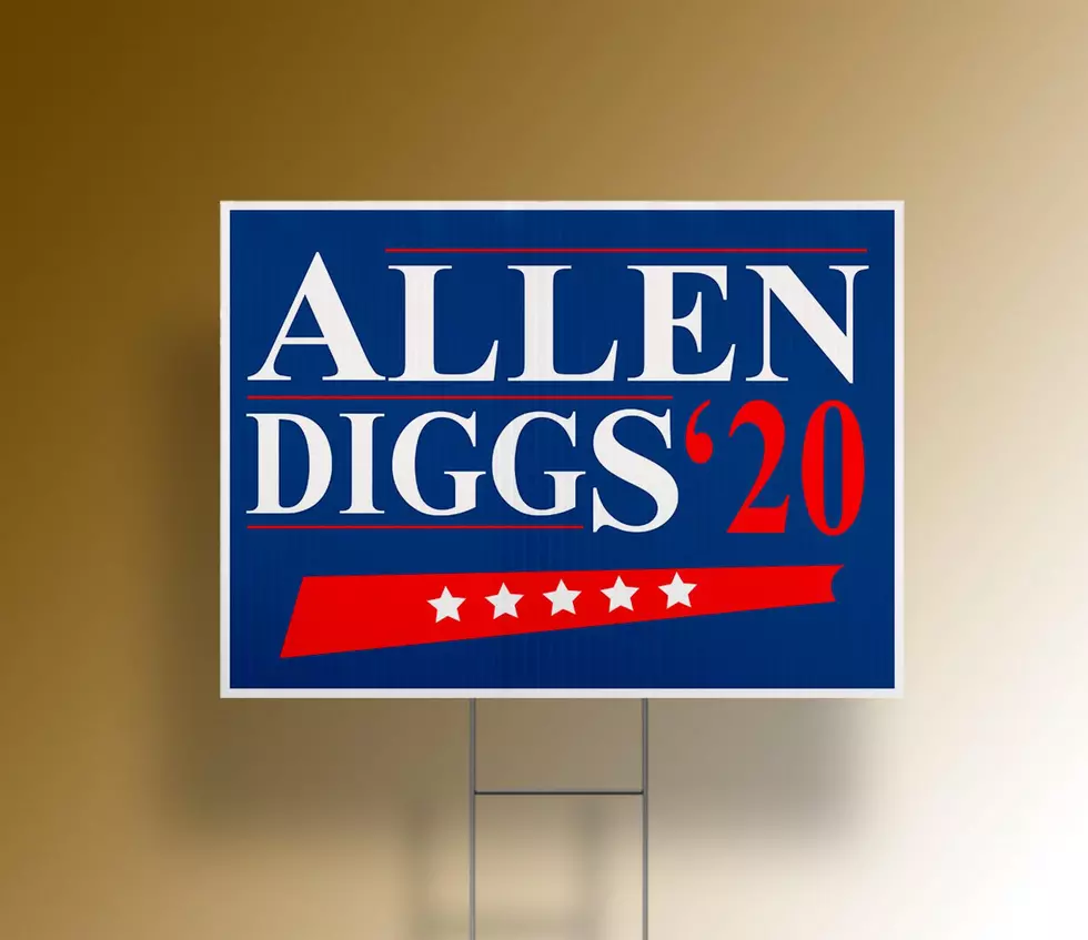 Allen Diggs &#8217;20 Signs Taking Over Bills Fans&#8217; Yards