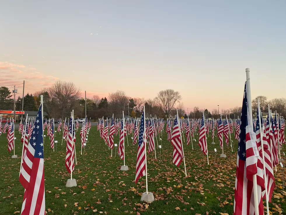 Nearly 600 Flags Fly in Front of a Central New York Wegmans Store to Honor Veterans