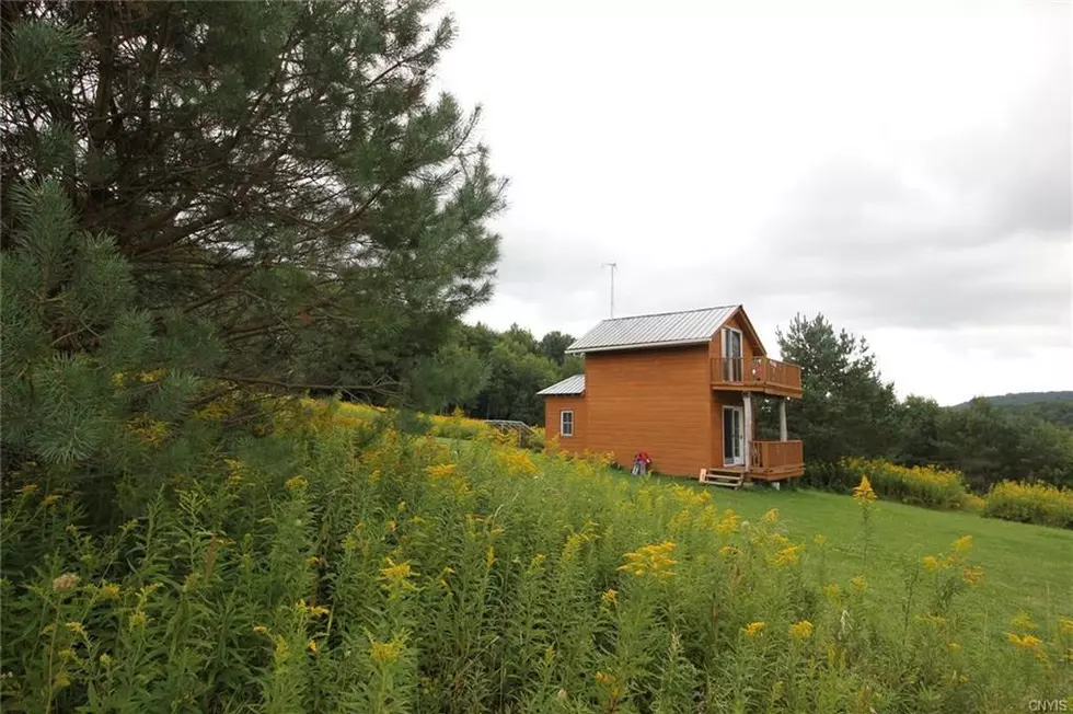 Get Off the Grid: This Tiny Cabin Sits on Six Acres in New York