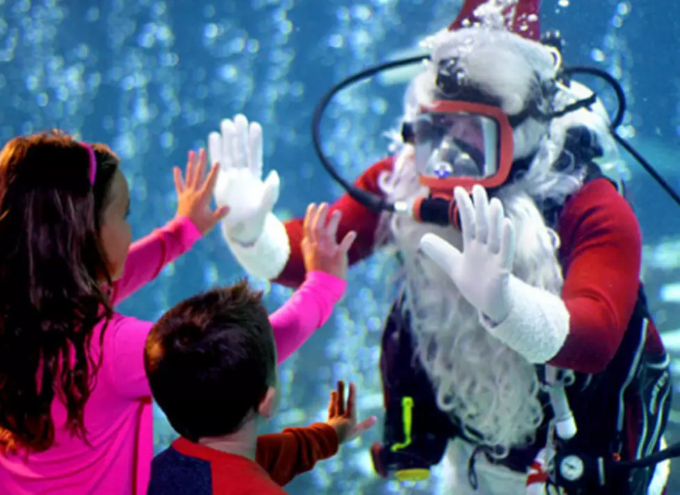 Celebrate Christmas Underwater with Scuba Santa