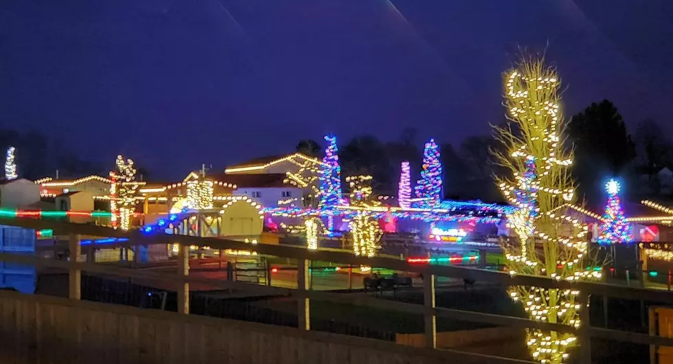 Head Into the Jungle: Holiday Lights Back Open After Winter Storm