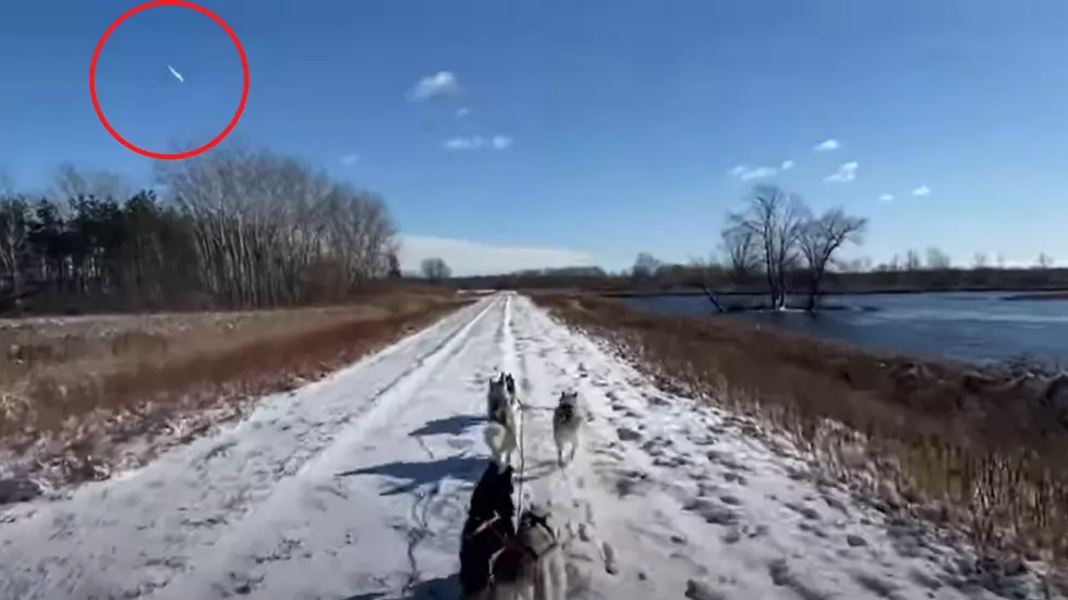 Buffalo Dog Trainer Captures Meteor That Caused Loud Boom 