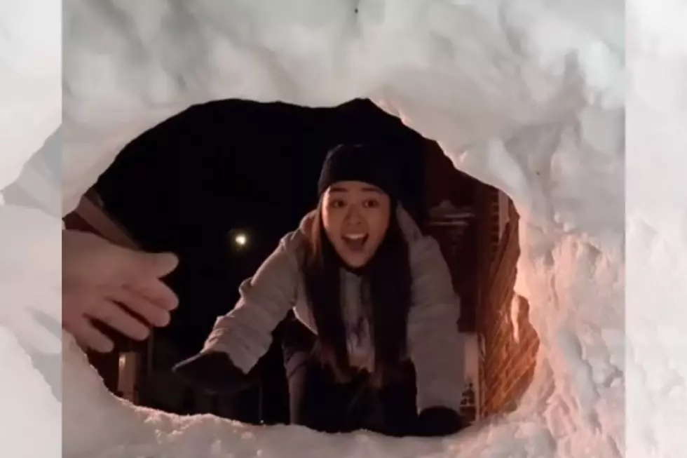 New York Man Spends All Day Building an Igloo For His Girlfriend