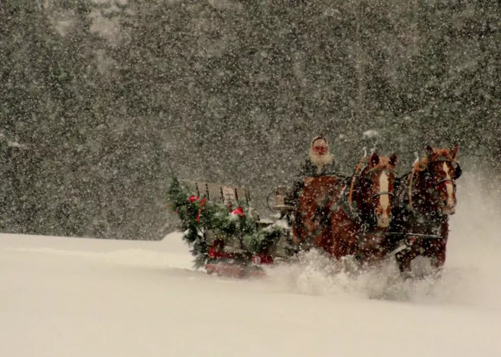 Go Dashing Through the Snow on Horse Drawn Sleigh Rides
