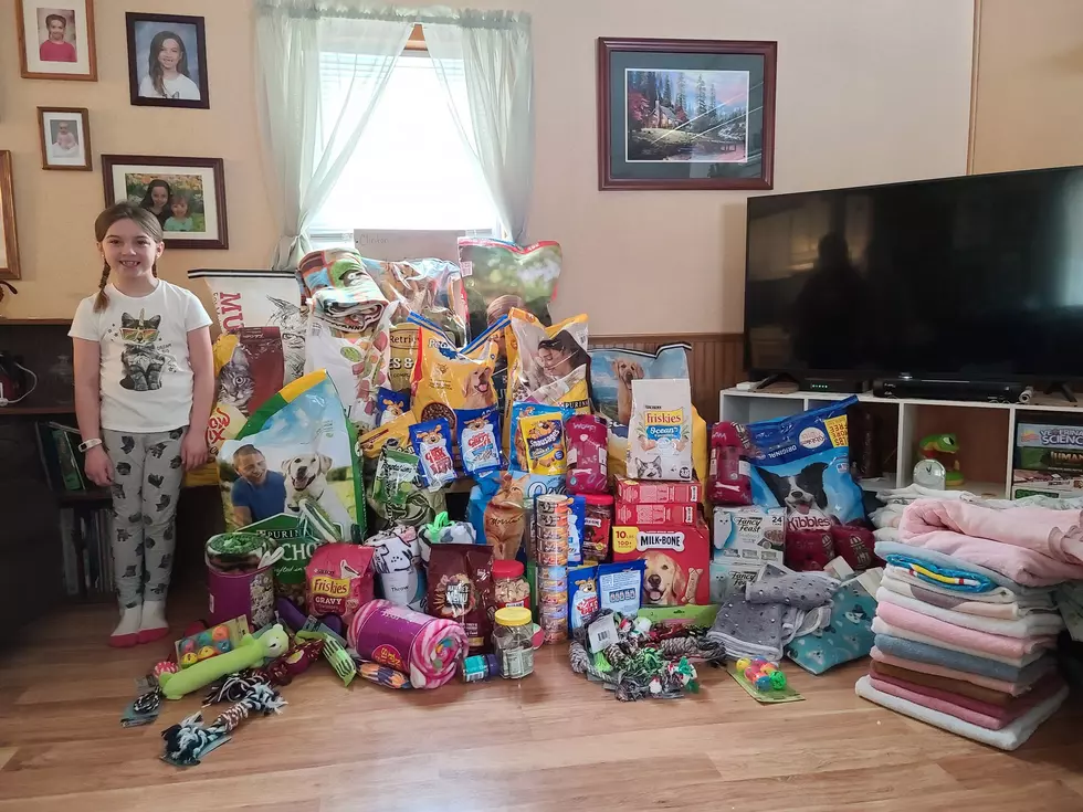 Pet Supplies Pour in For Madison Girl’s Birthday