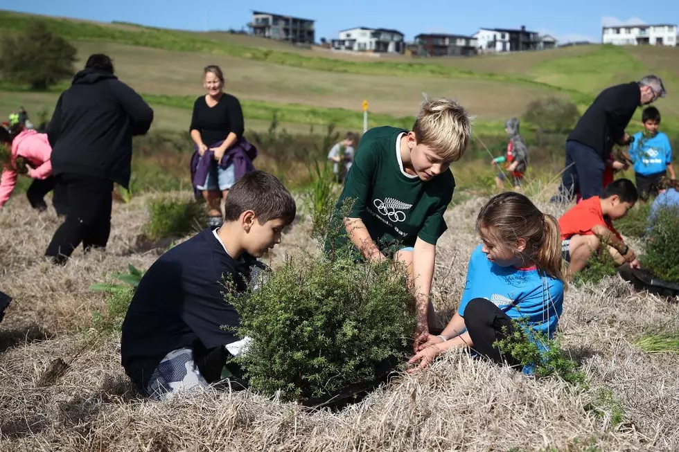 New York’s State Nursery Giving Free Trees and Shrubs to Youth Groups