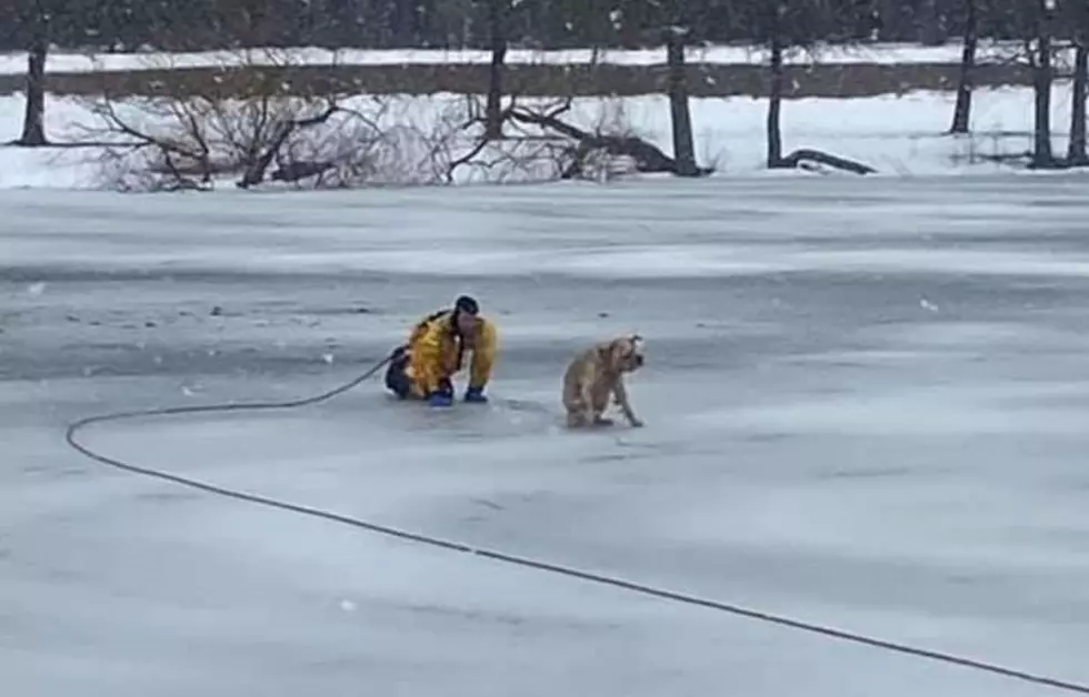 Hero Firefighter Rescues Dog From Frozen Pond