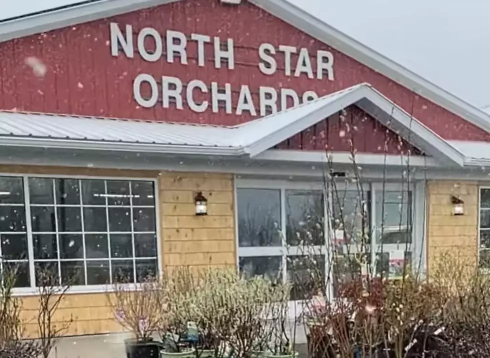 Snow Won’t Stop North Star Orchards From Opening for the Season