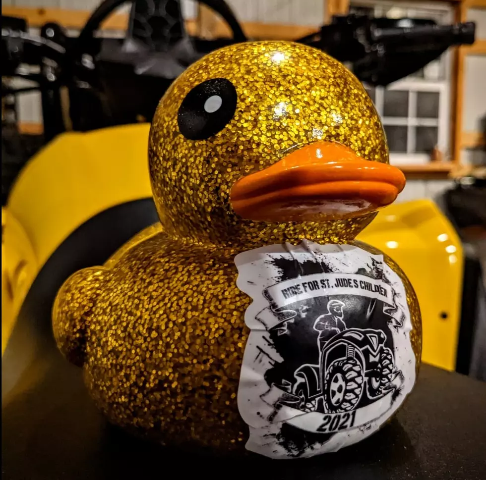 Find This Duck & Win Prizes While Trail Riding to Help St Jude