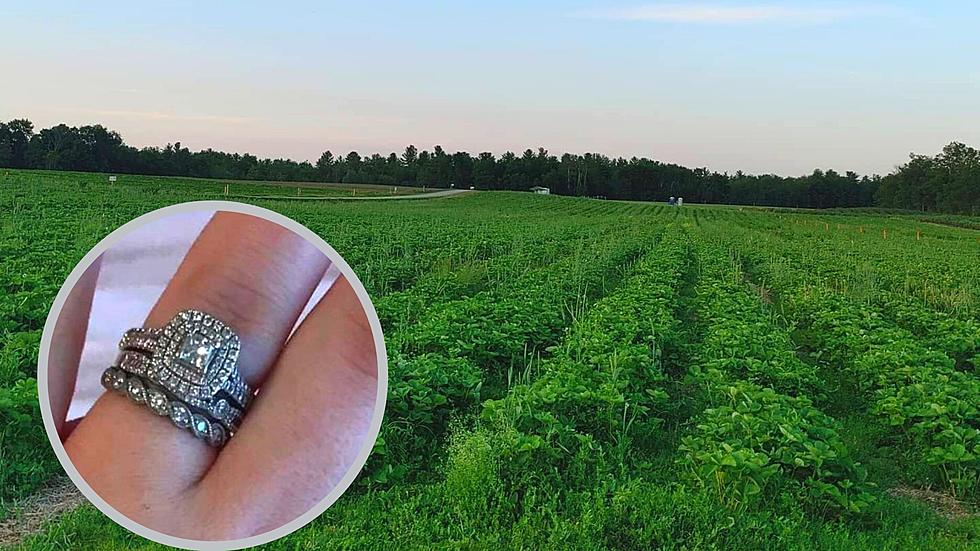 Woman Loses Wedding Rings Picking Strawberries on CNY Farm