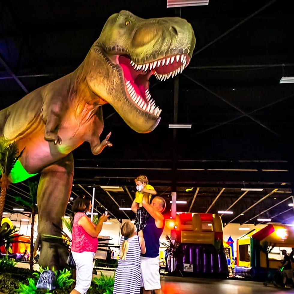 Interact With 60 Foot Dinosaurs When Dino Stroll Comes to Syracuse