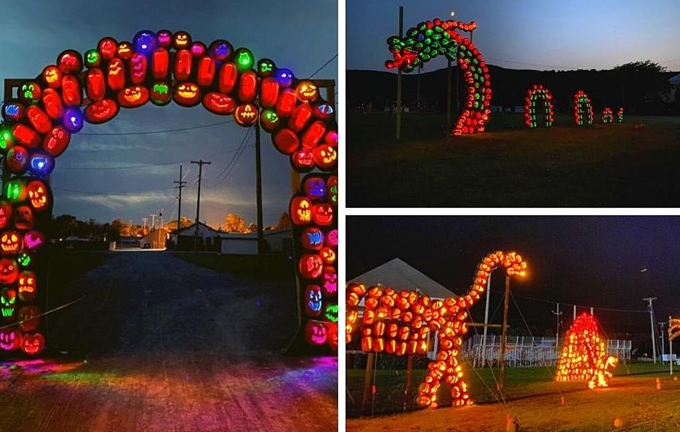 7,000 Jack-O-Lanterns Light Up the Night at NY Halloween Event