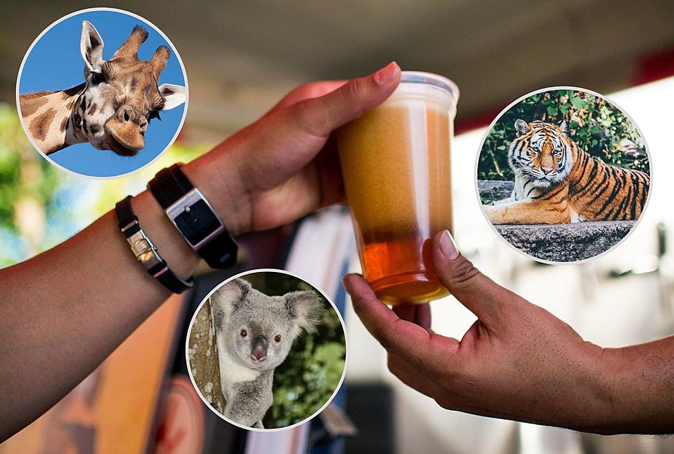Sip Beer When Binghamton Brewery Takes Over Animal Adventure Park