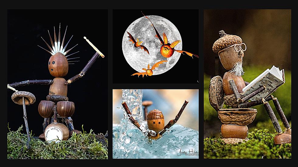 Go Nuts Over Waterville Photographer&#8217;s Stunning Whimsical Acorn Shots